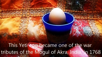 Yeti Eggs - Bigfoot Museum