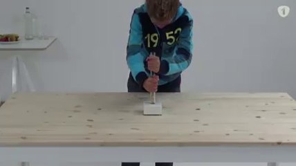 INCROYABLE ! OBSERVER COMMENT LE SINGE POURRAIT BIEN ETRE PLUS INTELLIGENT QUE L’HOMME, WANDAFOOT….