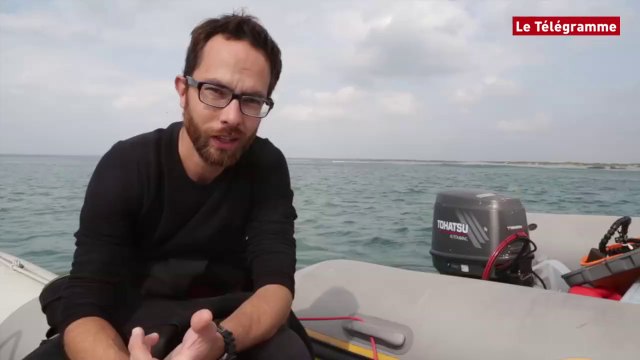 Pointe de la Torche (29). Epave de la Calliope : le récit de la bataille navale