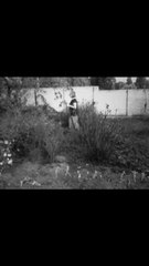 Le jardin (vue Lumiere)