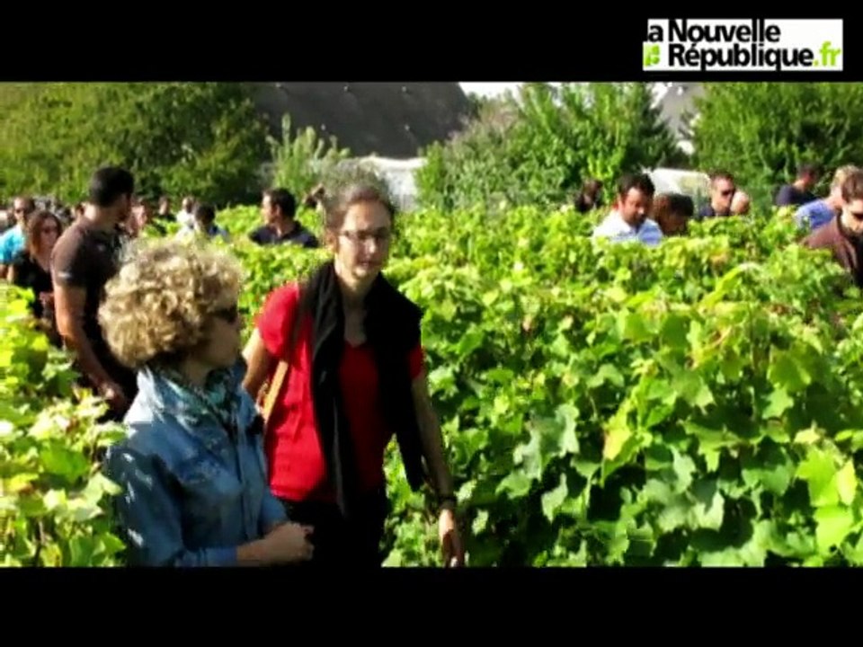 Visite des vignes à Vouvray