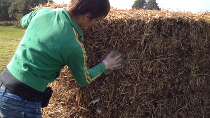 Une œuvre d'art participative