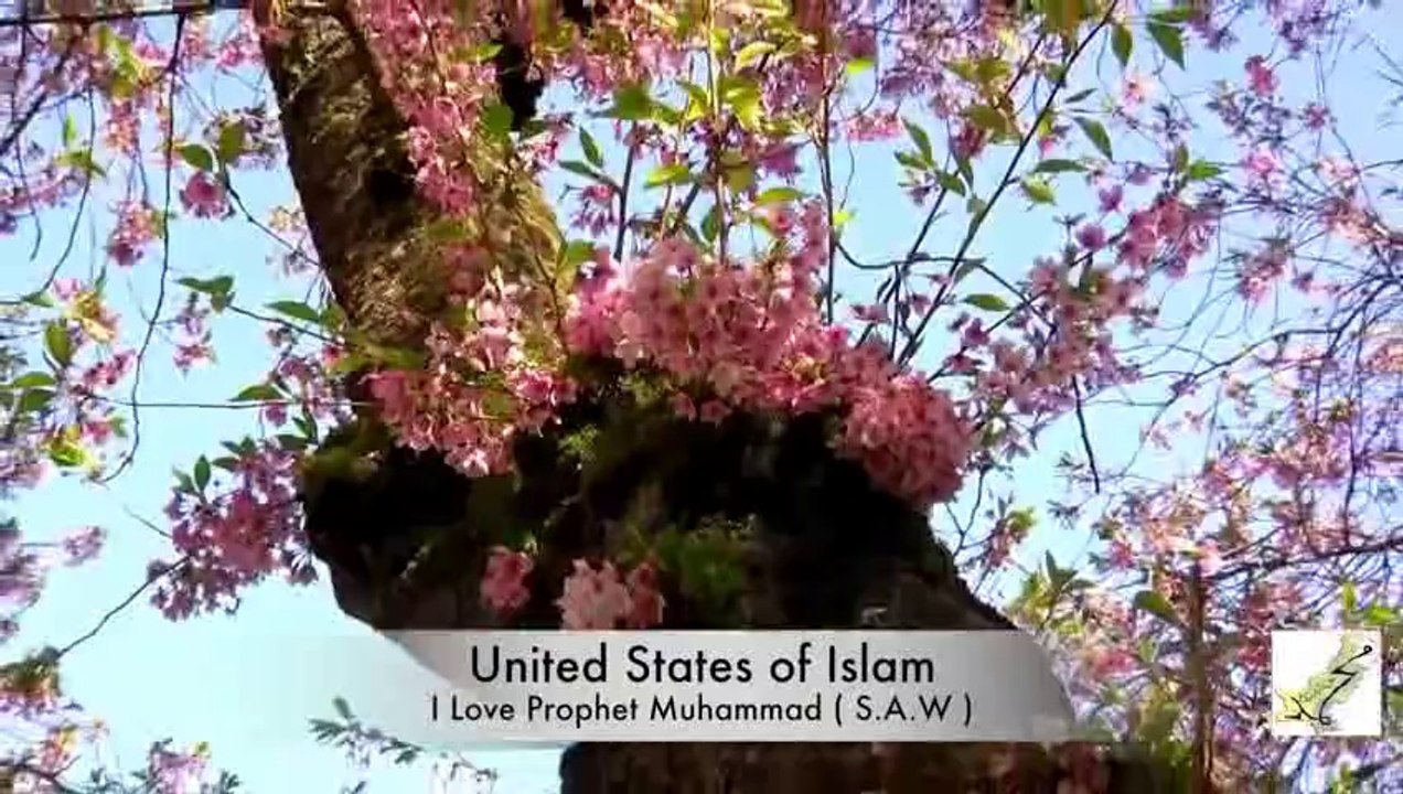 Ya nabi nazre karam farmana shahbaz qamar fareedi new album 2014 mujahid bradran