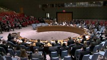 Libyan Rep. to UN: Libya 