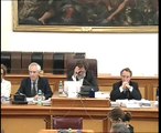 Roma - Audizione rappresentanti ANICA (17.09.14)