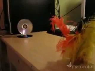 Basit Vantilatör Yapımı