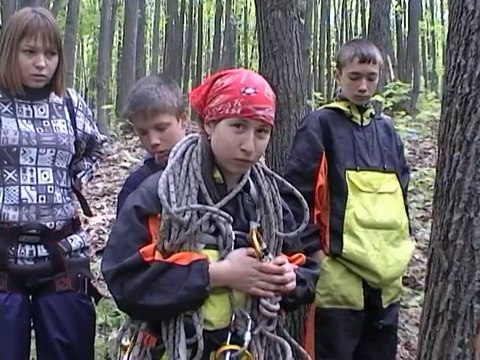 Зебра в юности