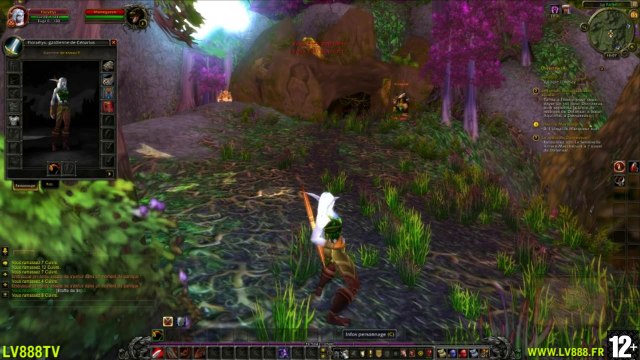 Les chroniques d'une Guérrière dans WOW - Ep n°3 - Une virée dans Teldrassil - LV888 TV