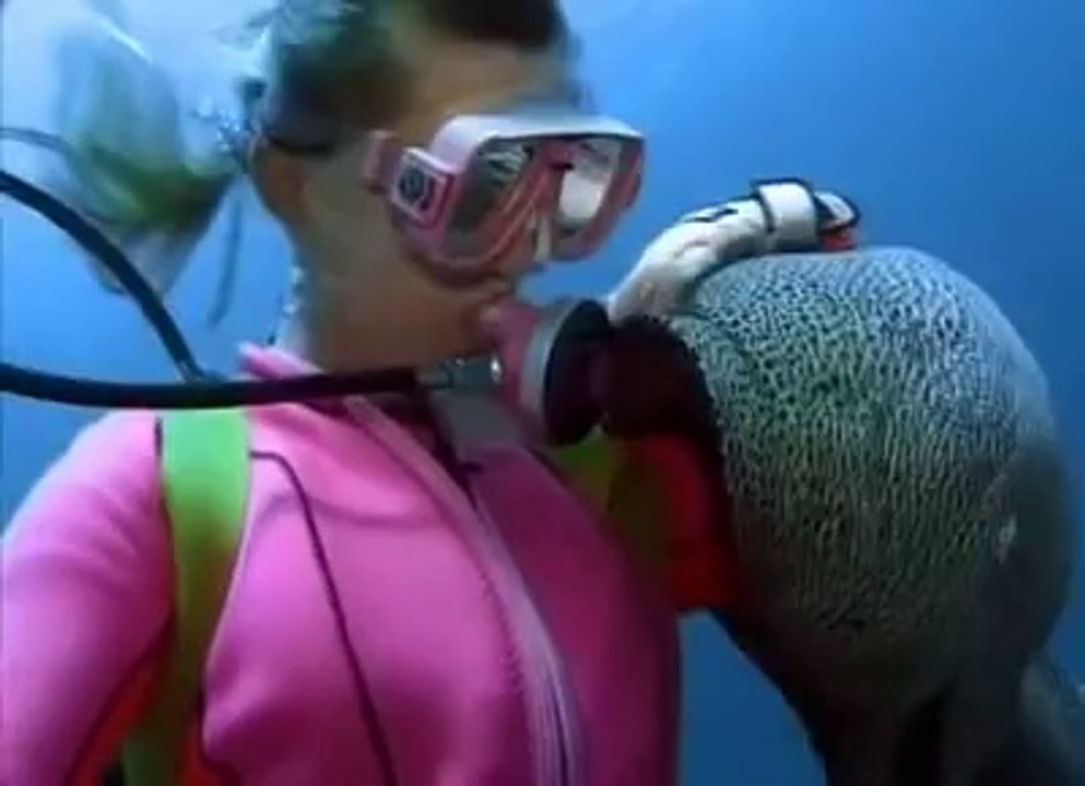 Plongeur ami avec des murènes