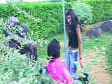 Haan Maine Ki Hai Mohabbat - Video Song - Album: Chori Hua Mera Dil - Singer : Riyaz, Gunjan