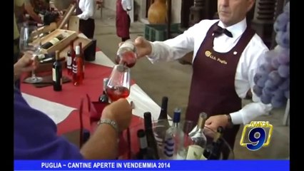 Télécharger la video: PUGLIA | Cantine aperte in vendemmia 2014