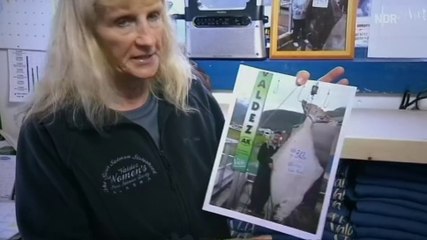 mareTV - die Bucht der Gletscher