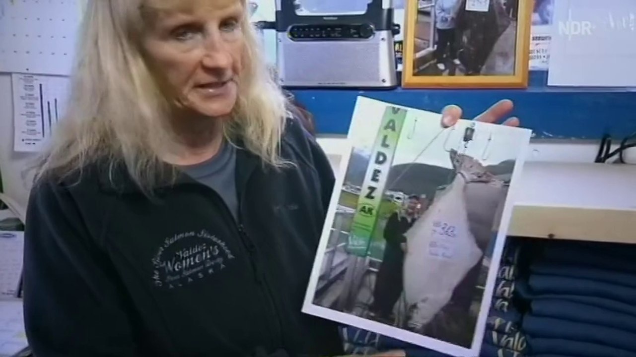 mareTV - die Bucht der Gletscher