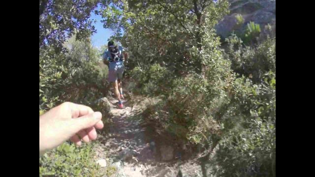 La Dentelliere 2014 / Combes et Crêtes / Trail Beaumes de Venise // 15kms 600 D+