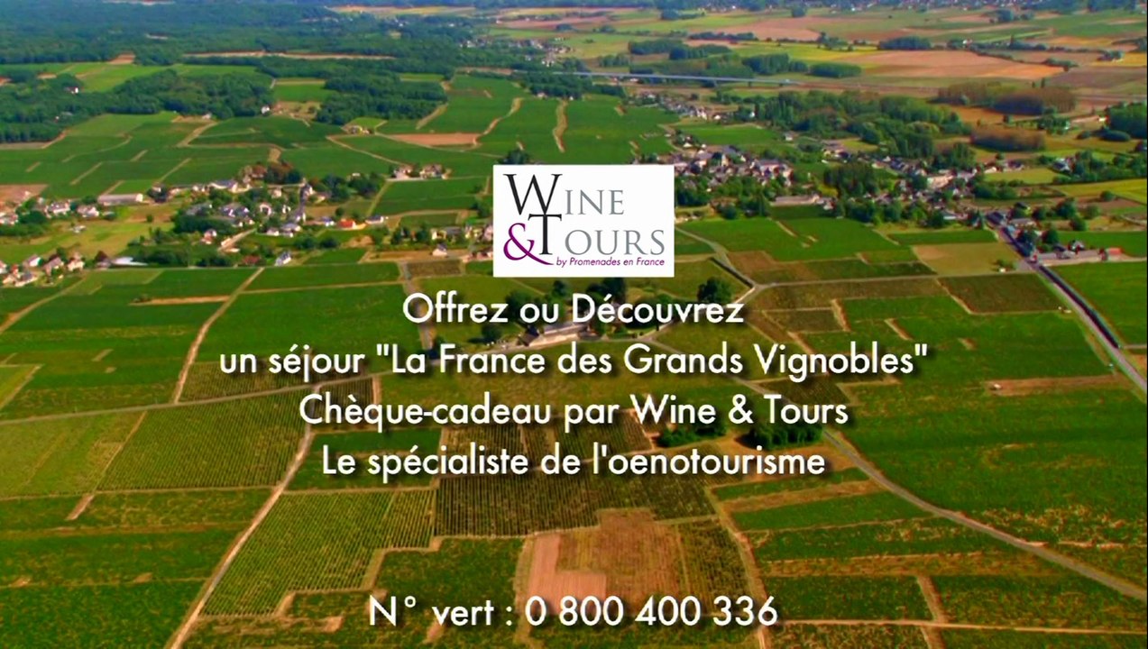 WINE & TOURS Teaser