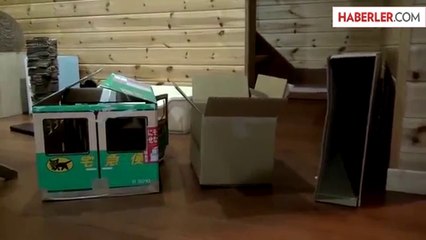 Bu Kedi Her Kutuya Girmek İstiyor