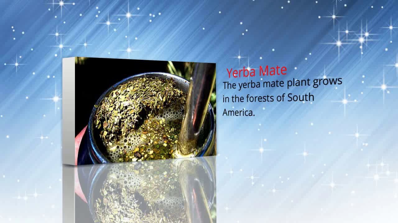 Effectively Increase Your Energy Levels with Yerba Mate