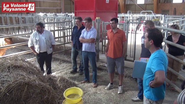 Bovins croissance Aveyron : conseil et revenu