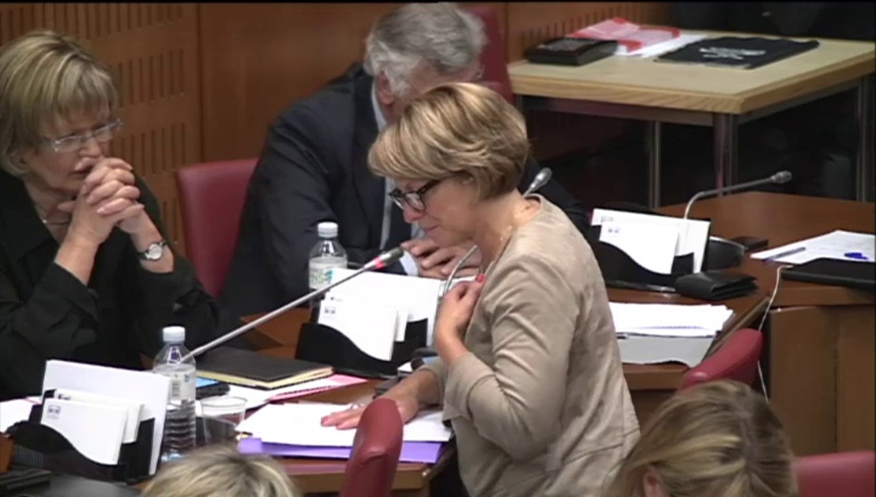 COMMISSION DES AFFAIRES CULTURELLES 4 JUIN 2014- AUDITION DE MONSIEUR BENOIT HAMON