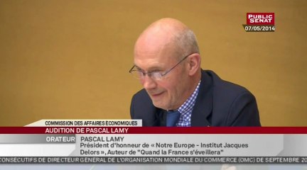 Audition de M. Pascal LAMY, directeur général de l'Organisation mondiale du commerce (OMC) - Audition