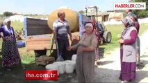 Yalova'da Susuzluk İsyanı