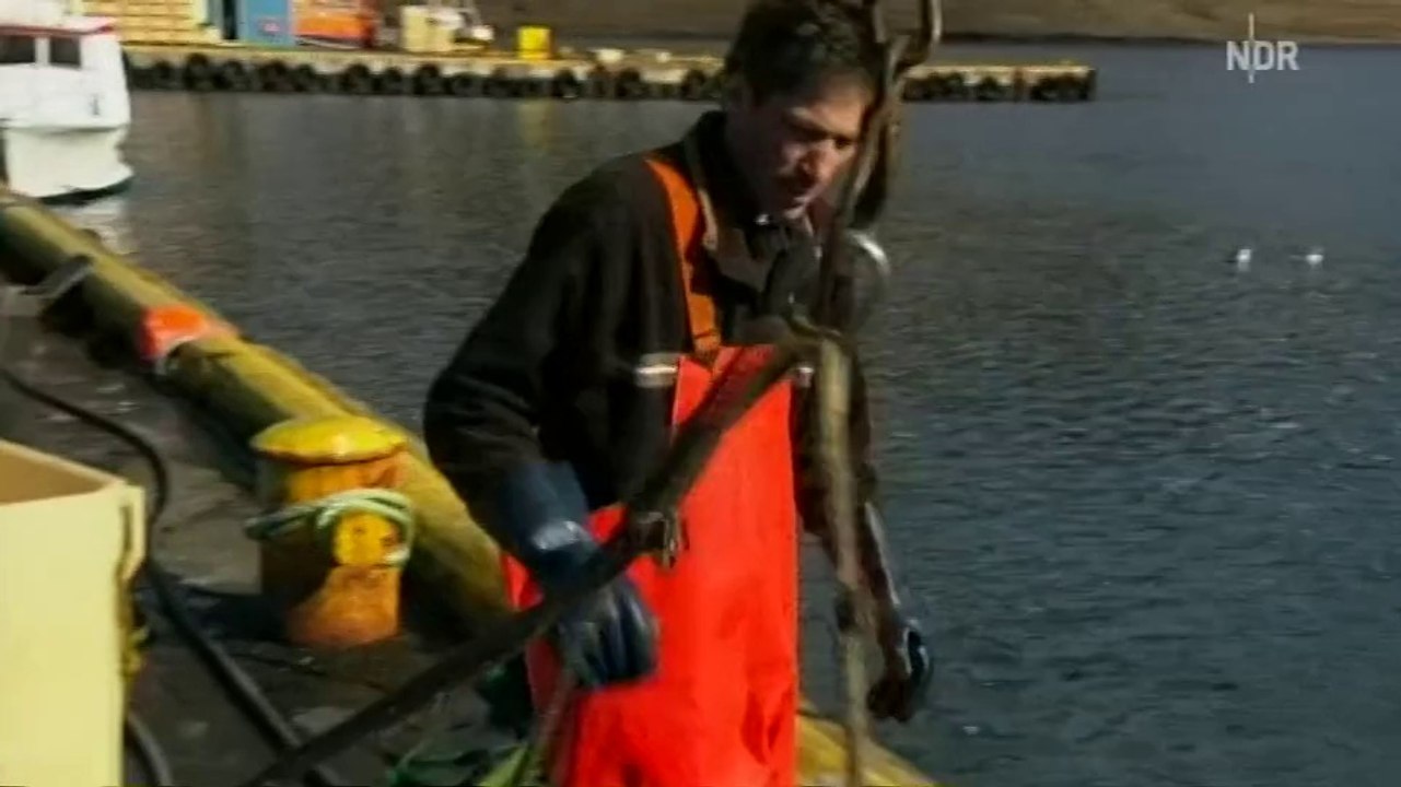 mareTV - Island am Polarkeis