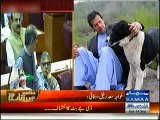 My dog sheru has died , was more faithful & loyal than these rulers - Imran Khan
