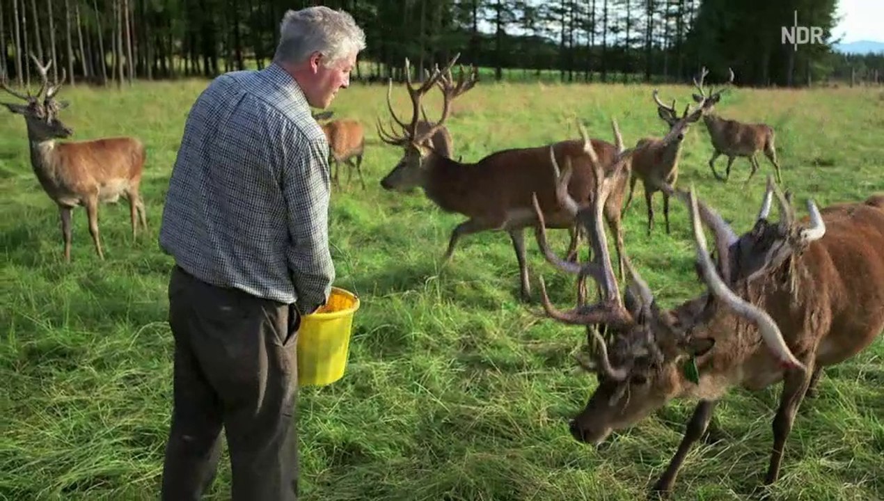 mareTV - mit dem Schiff durch Schottland
