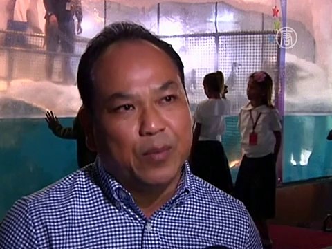 На Филиппинах вырастили первого пингвина