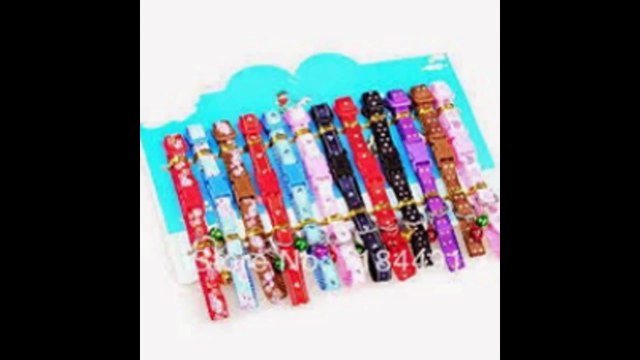 Buy Pet Supplies Online India - Dog & Cat Food Online - Dog Products