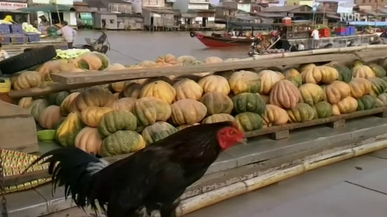 mareTV - Vietnam im Mekongdelta