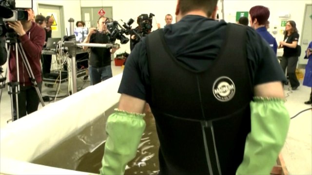 Un spécimen rare de calmar géant sous le scalpel des scientifiques