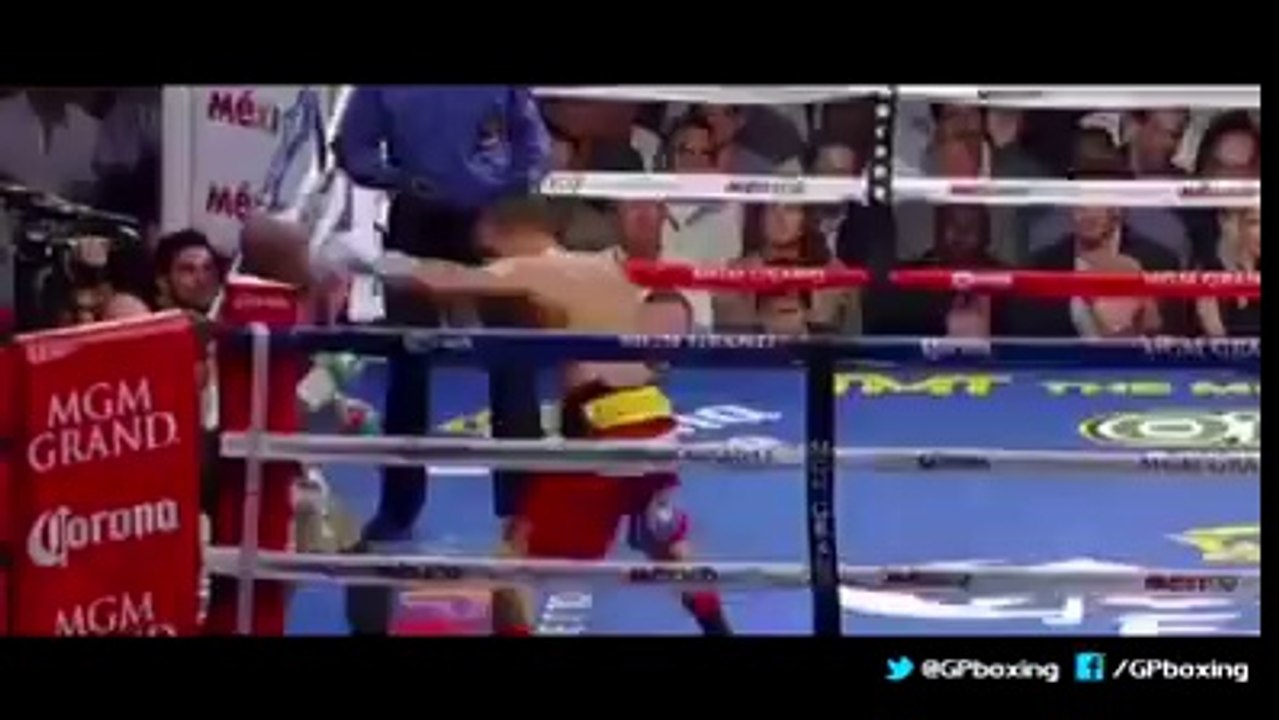 Floyd Mayweather's best punches against Maidana