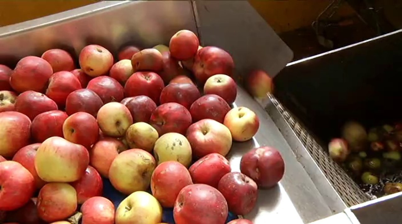 Fabrication jus de pomme