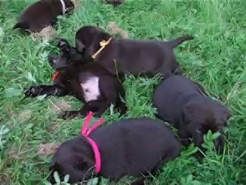 première ballade à l'extérieur