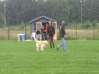 Goliath Concours Arras 2014 Classe 2
