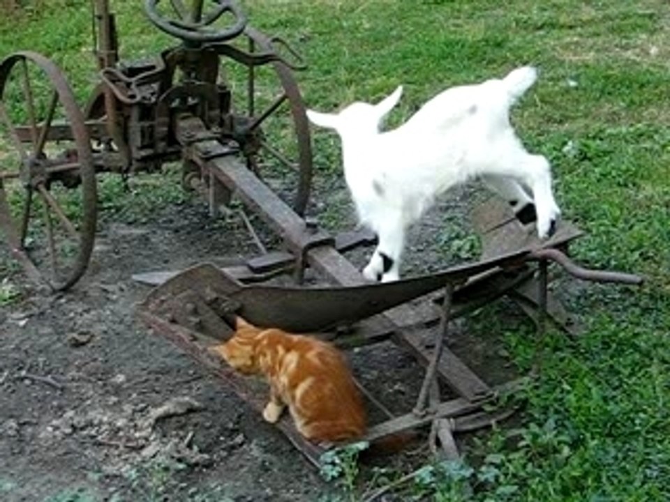 Emi et Alasthor