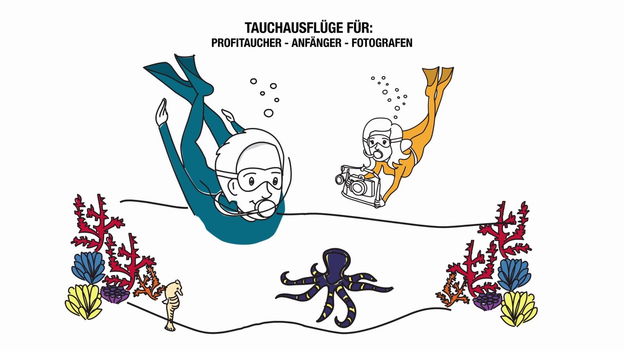 Warum Tauchurlaub im North Bali Divecenter ?