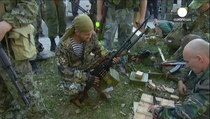 Gemischte Reaktionen auf Kiews Donbass-Vorstoß