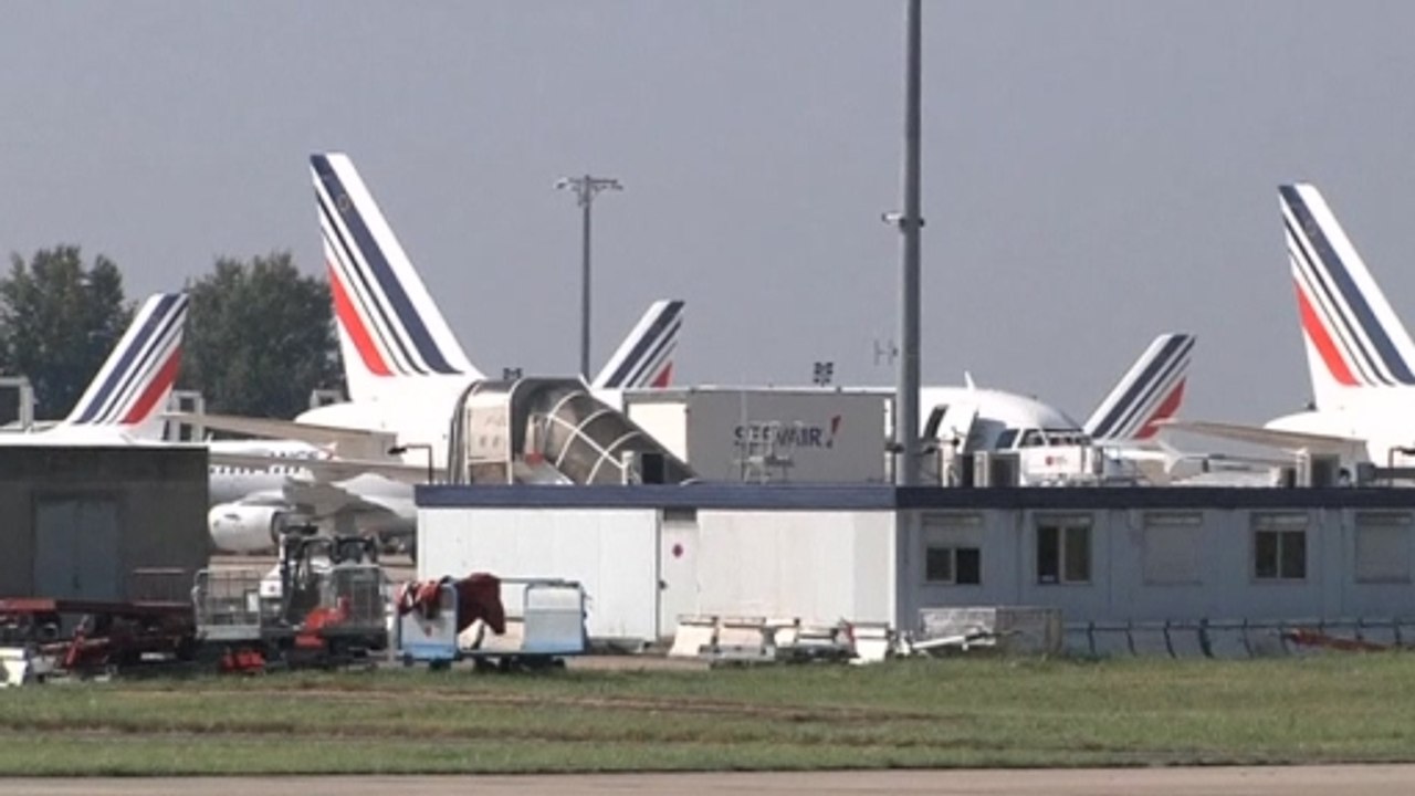 Will confidence vote help Hollande?