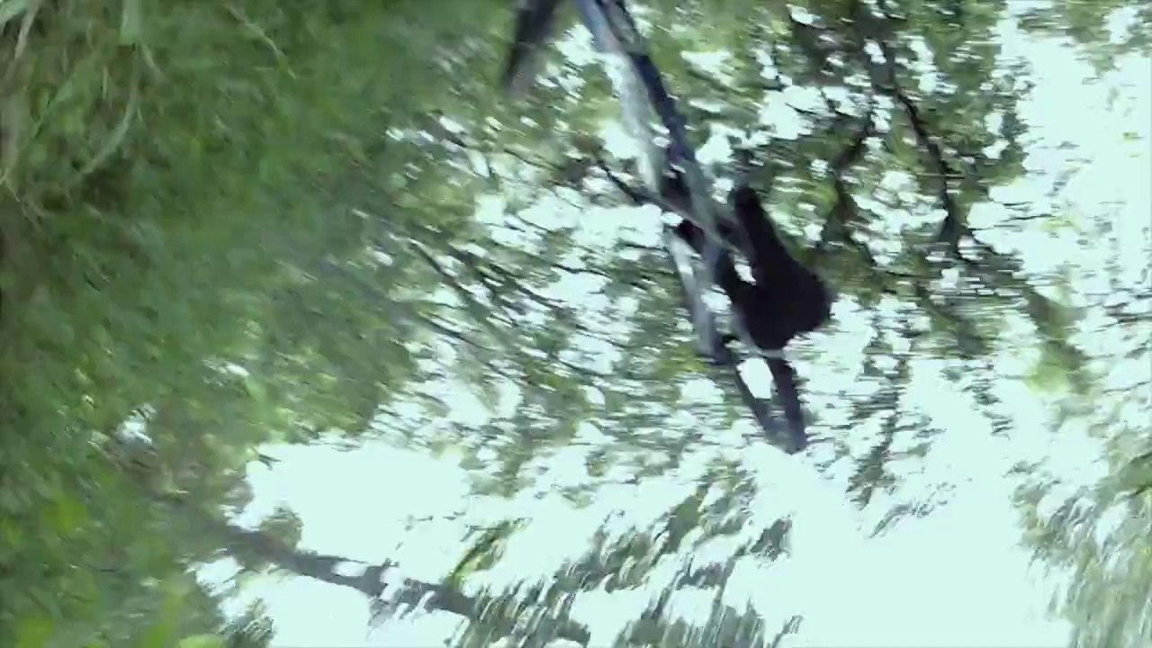 Exists - Clip: Hello