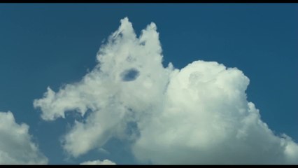 Bande-annonce :  La Clé des champs - Teaser