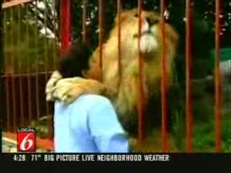 Lionhugsandkisseswoman