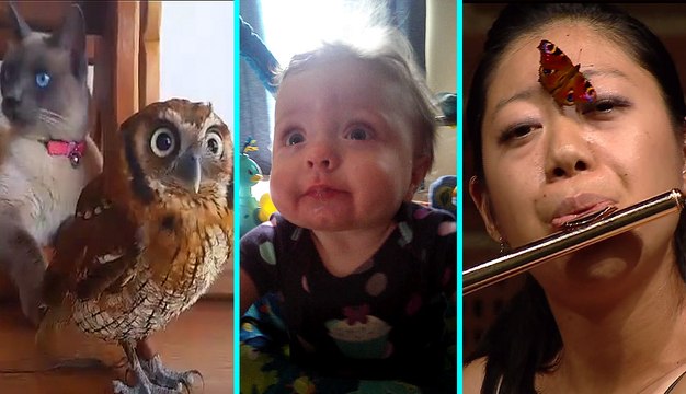 Adorable Owl & Cat, Surprised Baby, & Butterfly on Face - WHICH IS THE CUTEST? | What's Trending Now!