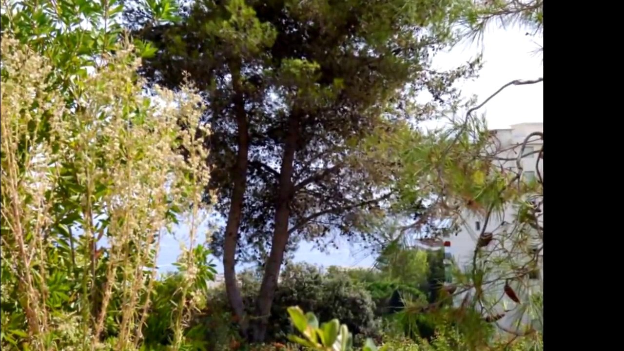 Vente - Appartement Nice (Napoléon III) - 145 800 €