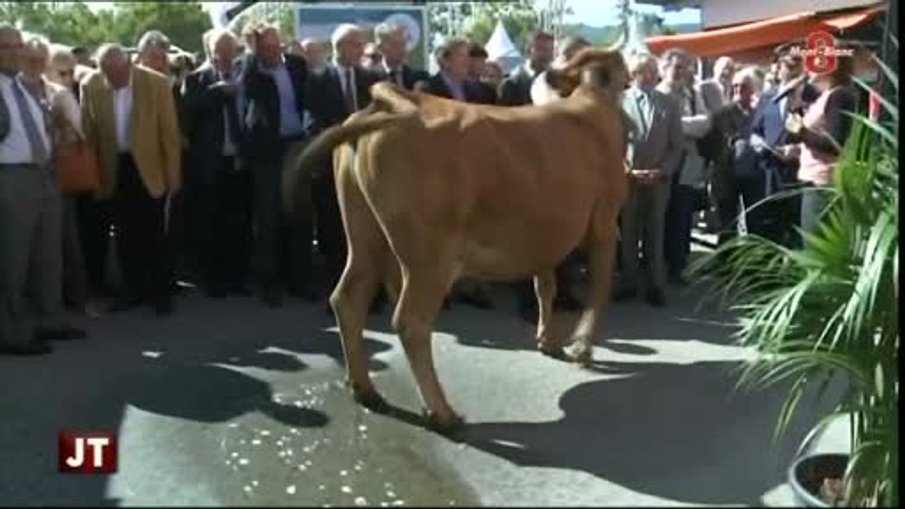 86e édition de La Foire de Savoie (Chambéry)
