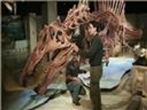 اكتشاف هيكل ديناصور على الحدود الجزائرية المغربية