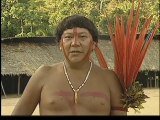 ÍNDIOS DO BRASIL: pt. 01 - Quem são eles?