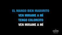 Y Yo Sigo Aqui in the Style of _Paulina Rubio_ karaoke video with lyrics (no lead vocal)