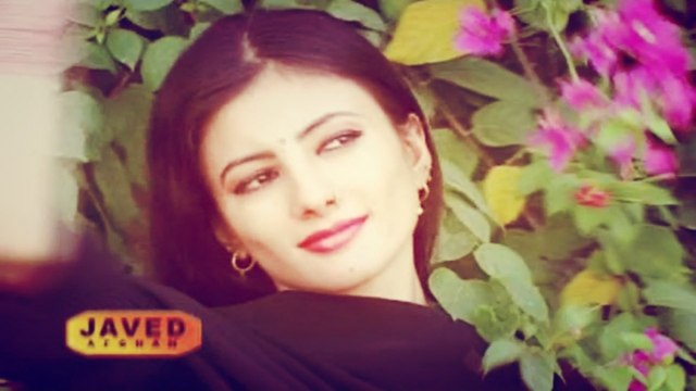 Nazia Iqbal, Javed Fiza - Ter Wastama Sta De Leewano Stargo